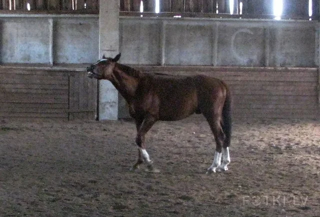 000025202734_%23_2_%23_Potosova.webp