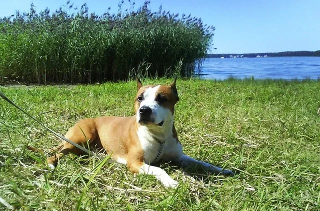 000025422872_%23_2_%23_Potosova.webp