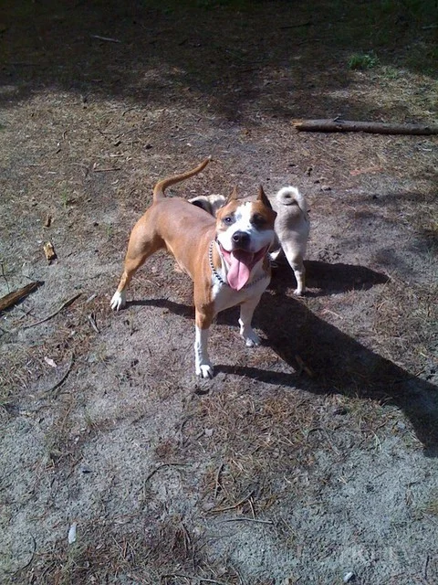 000025422874_%23_2_%23_Potosova.webp