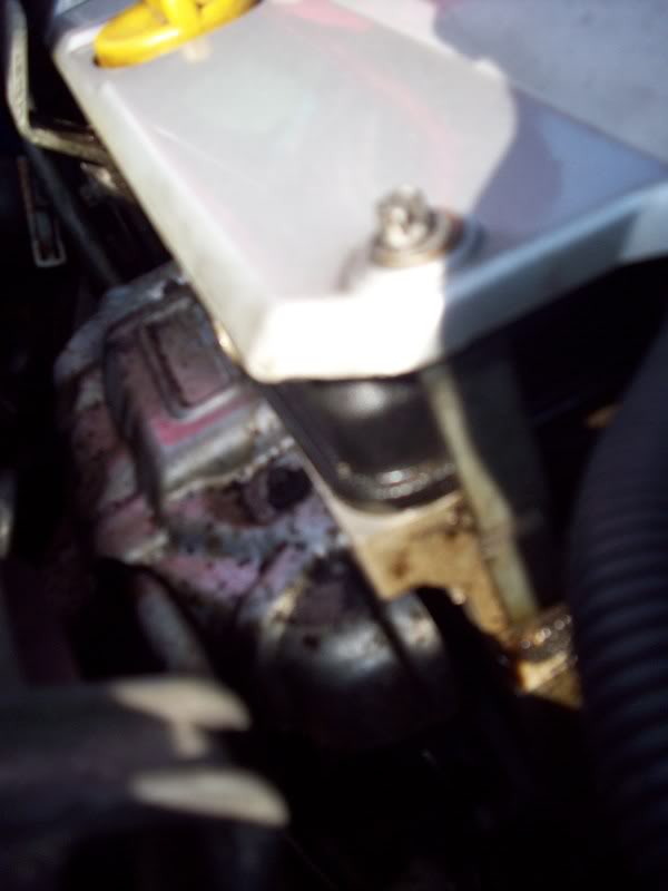 000_0002-2.jpg