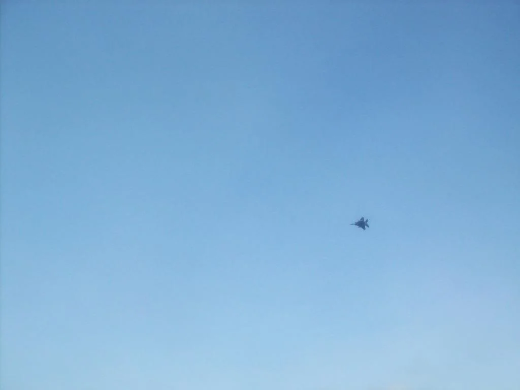 000_0006.webp