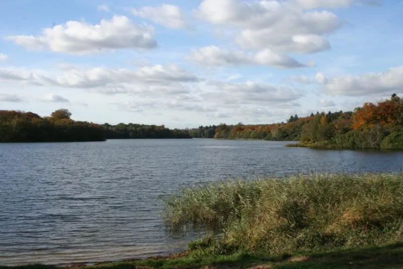 001.webp
