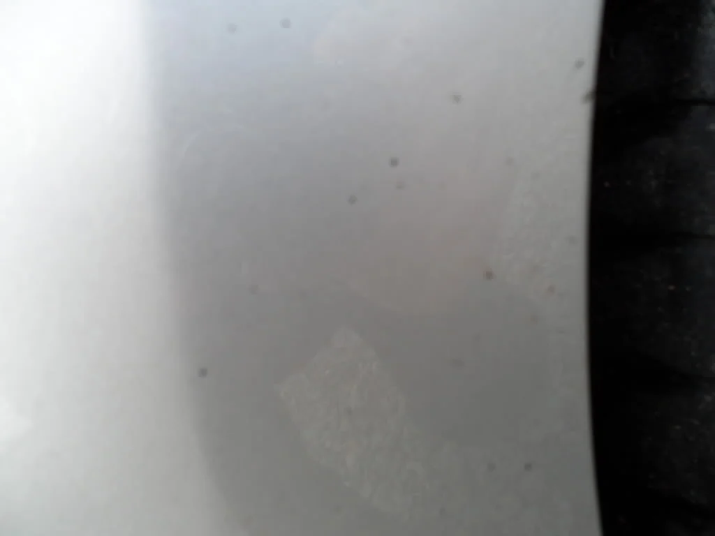 003-13.webp