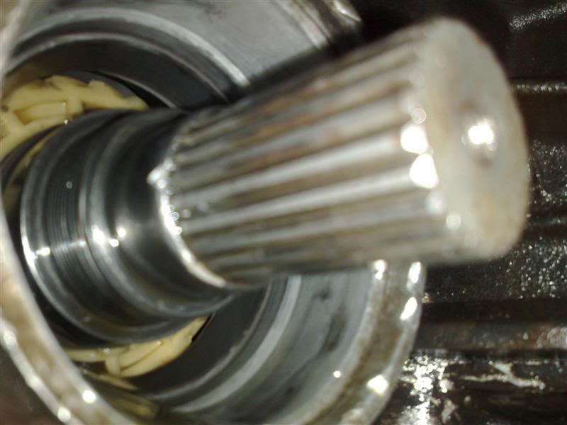 01022009244Medium.jpg