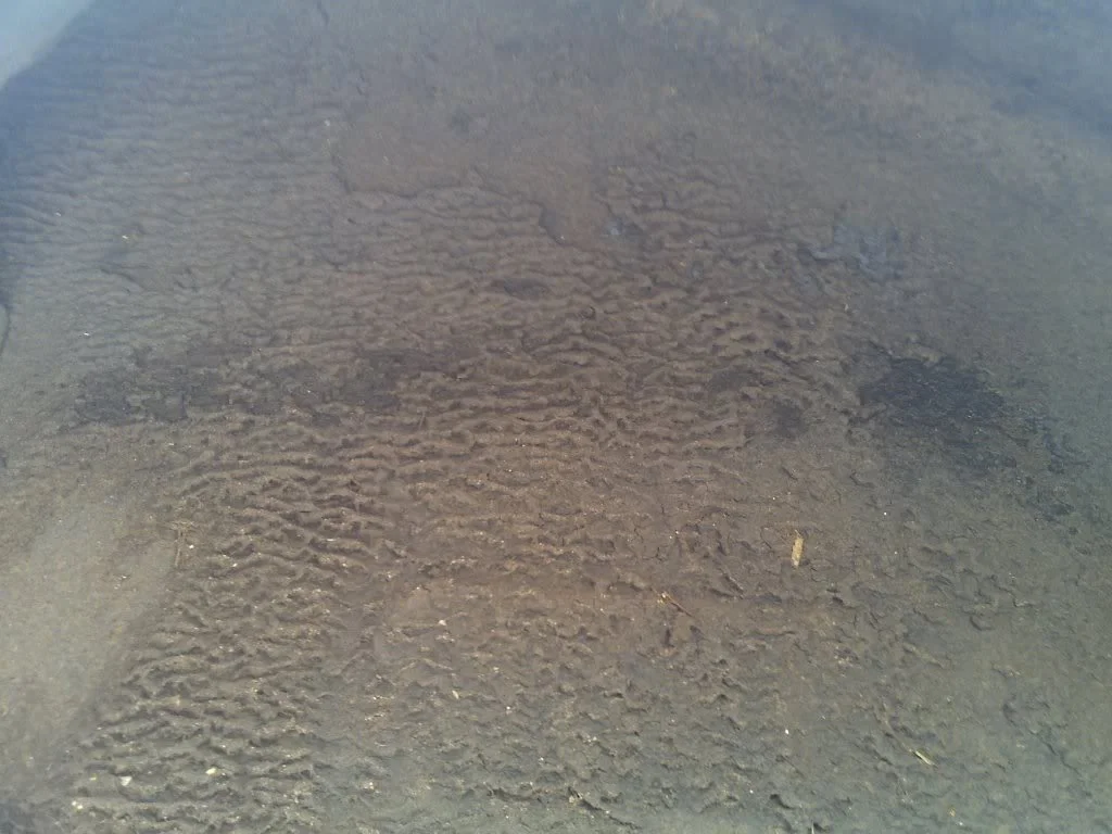 01042009243.webp