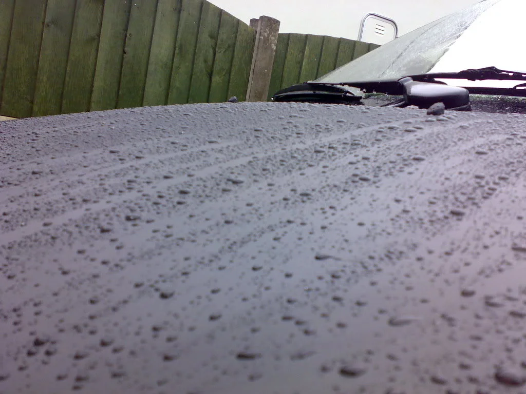 01062008154.webp
