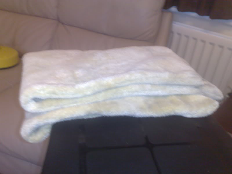 01062009763.jpg