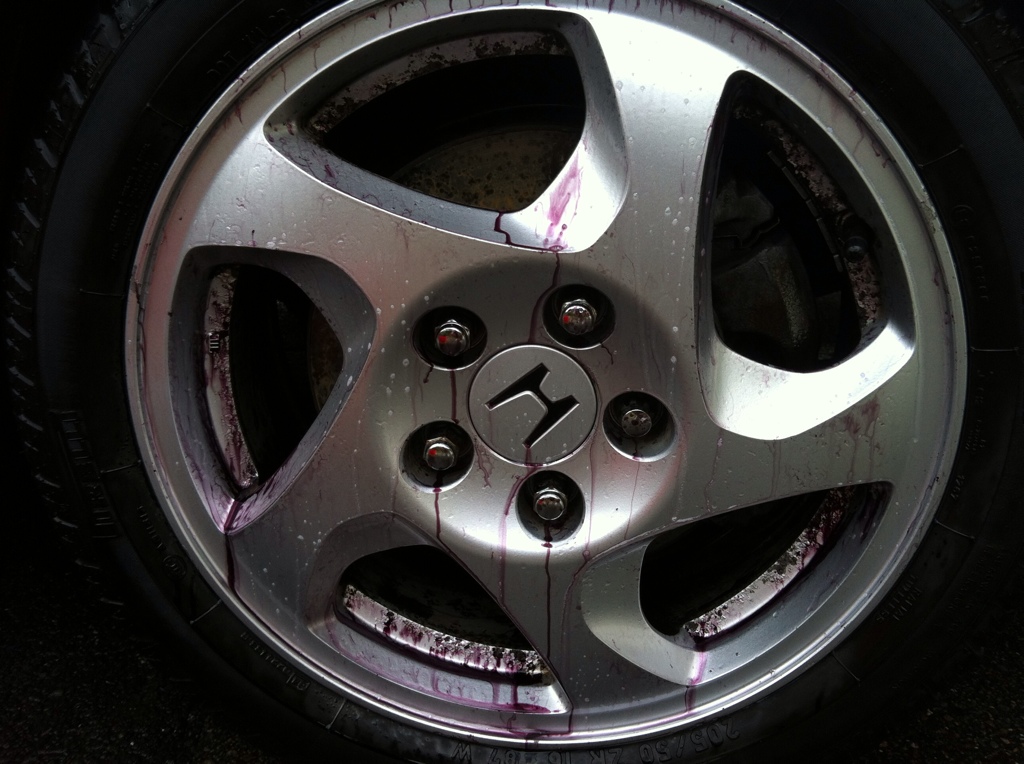 010D0BAA-3101-4BBF-80F5-9AA97DDD1D34-2395-00000341D5CAD9A8.jpg 010D0BAA-3101-4BBF-80F5-9AA97DDD1D34-2395-00000341D5CAD9A8.jpg