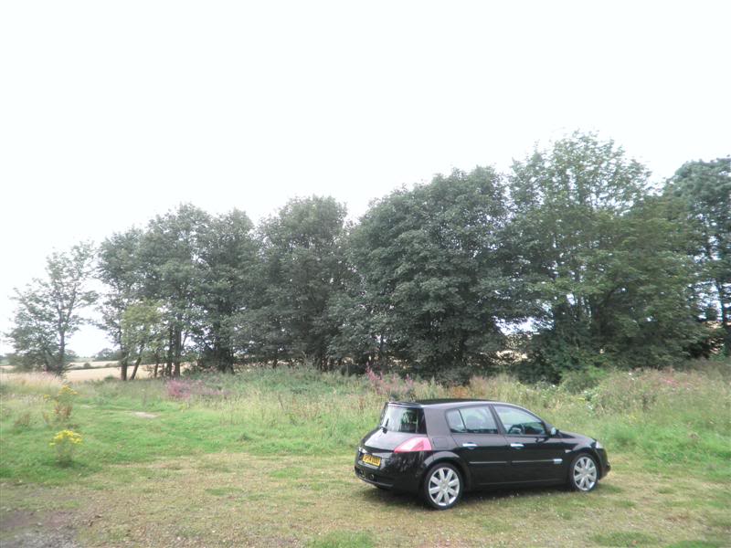 018Medium.jpg 018Medium.jpg