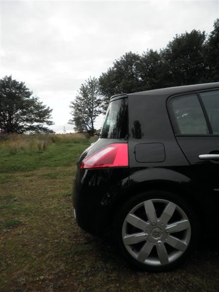 019Medium.jpg 019Medium.jpg