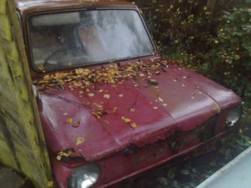 02102009667.webp