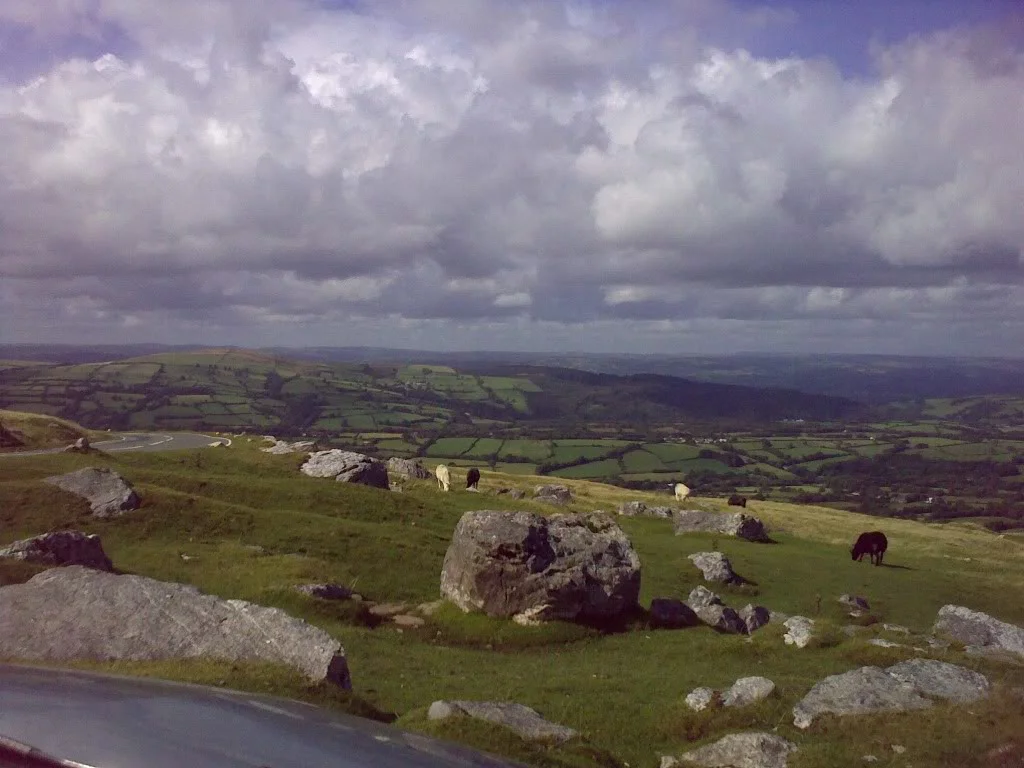 03092009306.webp