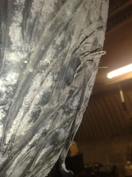 03122008083Medium.webp