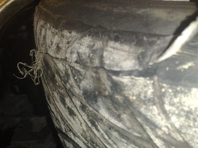 03122008084Medium.webp