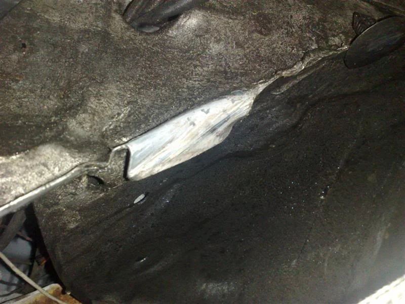 03122008085Medium.webp