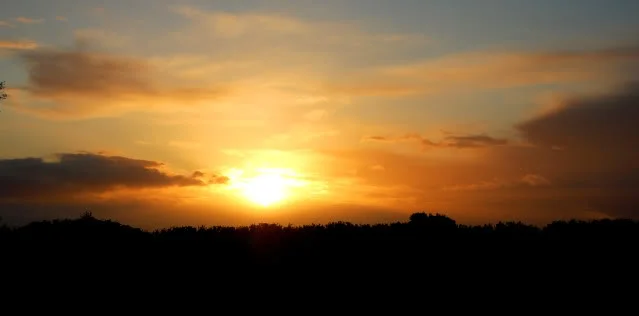 033.webp