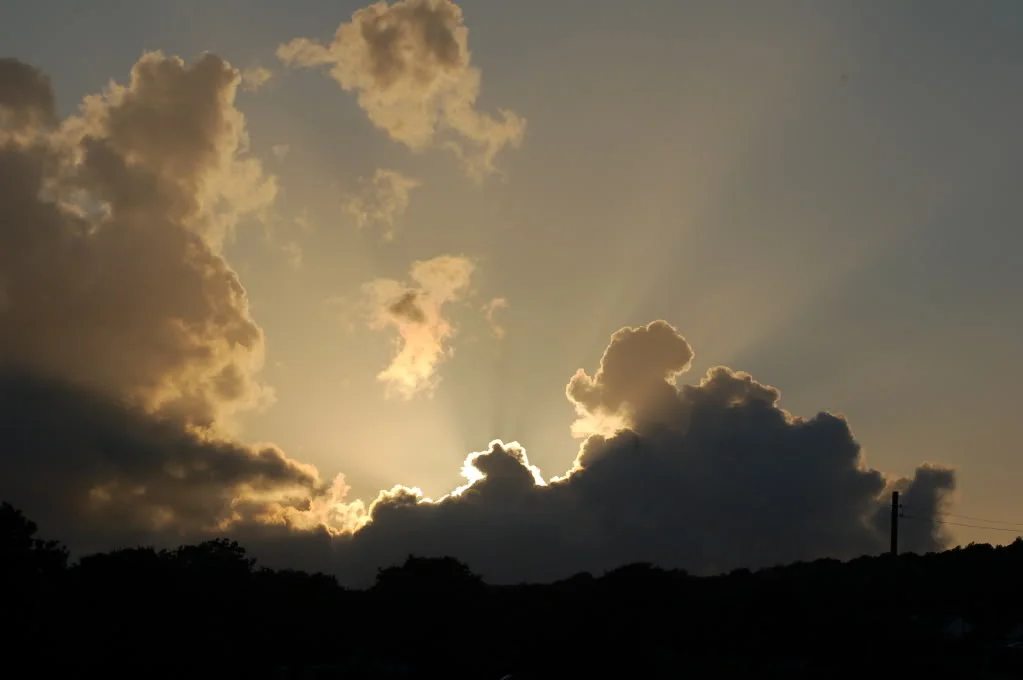 036.webp