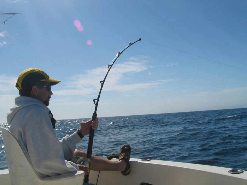 040202d.webp