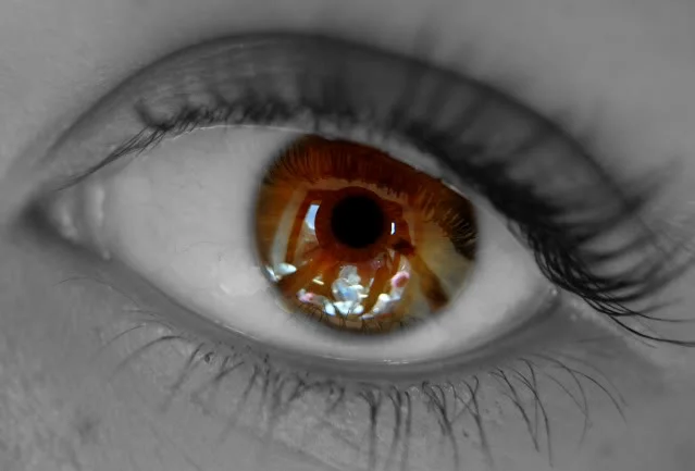 047c.webp