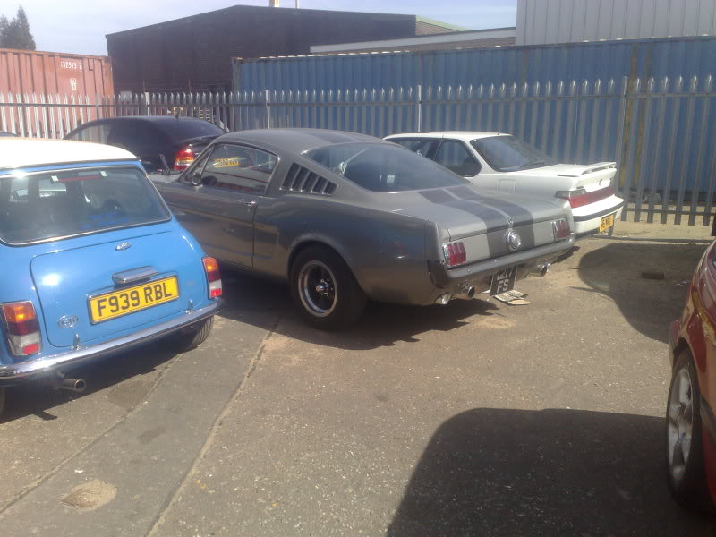 05042009532.jpg