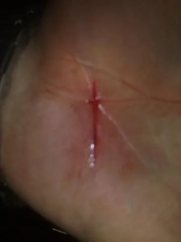 05102008124.webp