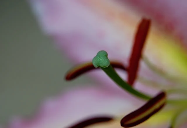 053-1.webp