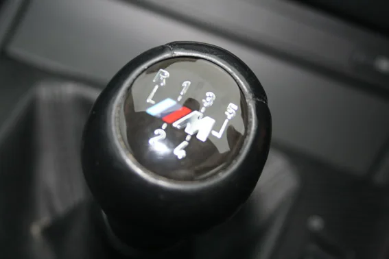 05_gaycar.webp