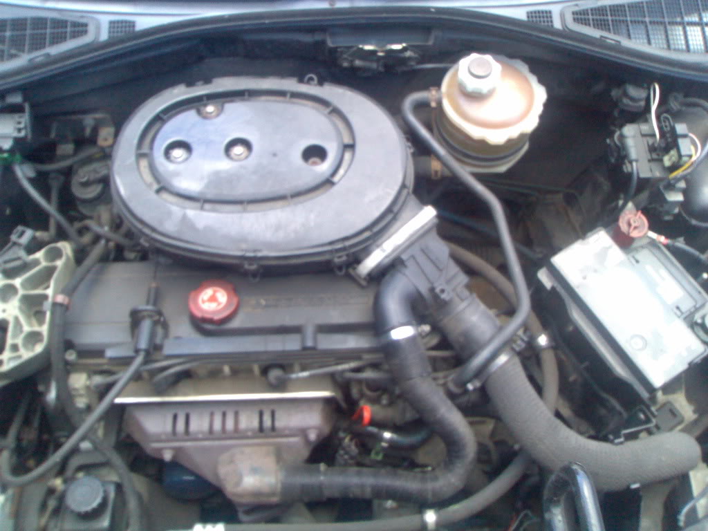 06012008423.jpg