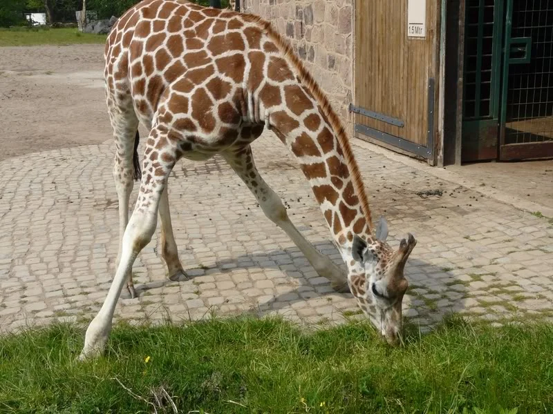 065800x600.webp