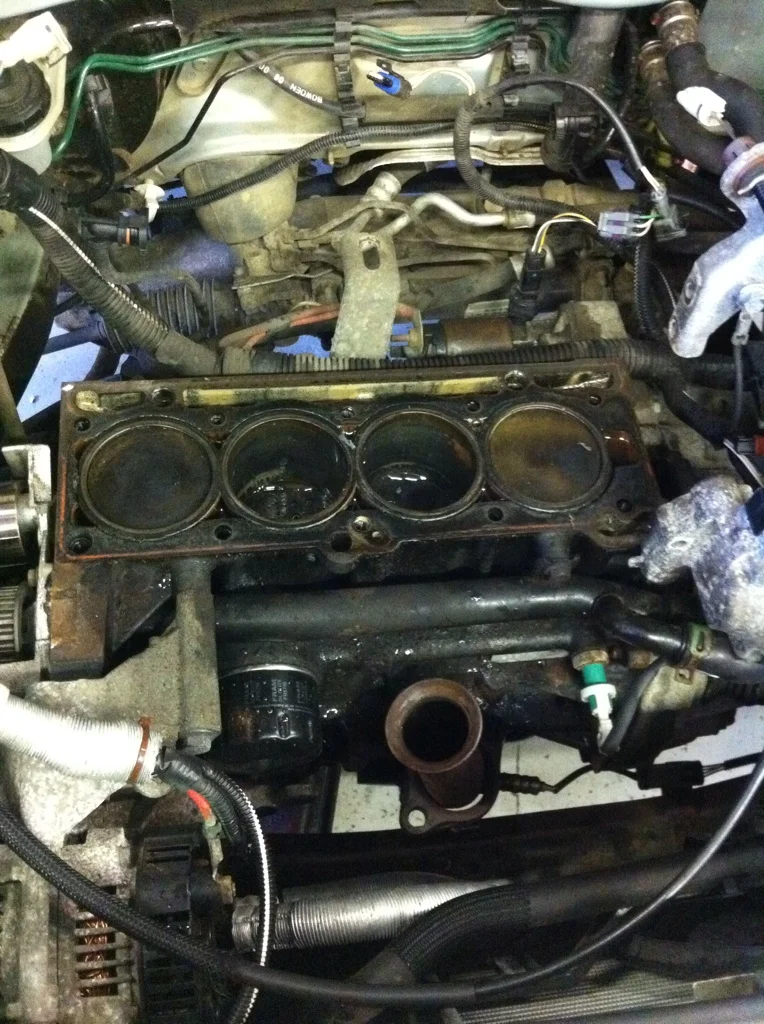 06b4100f.webp