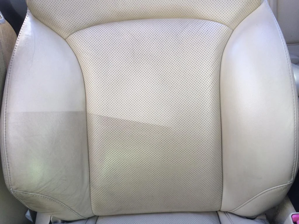 06C96310-B557-4C5D-8F01-E0CF9E49B9F9_zpskkftah2n.webp