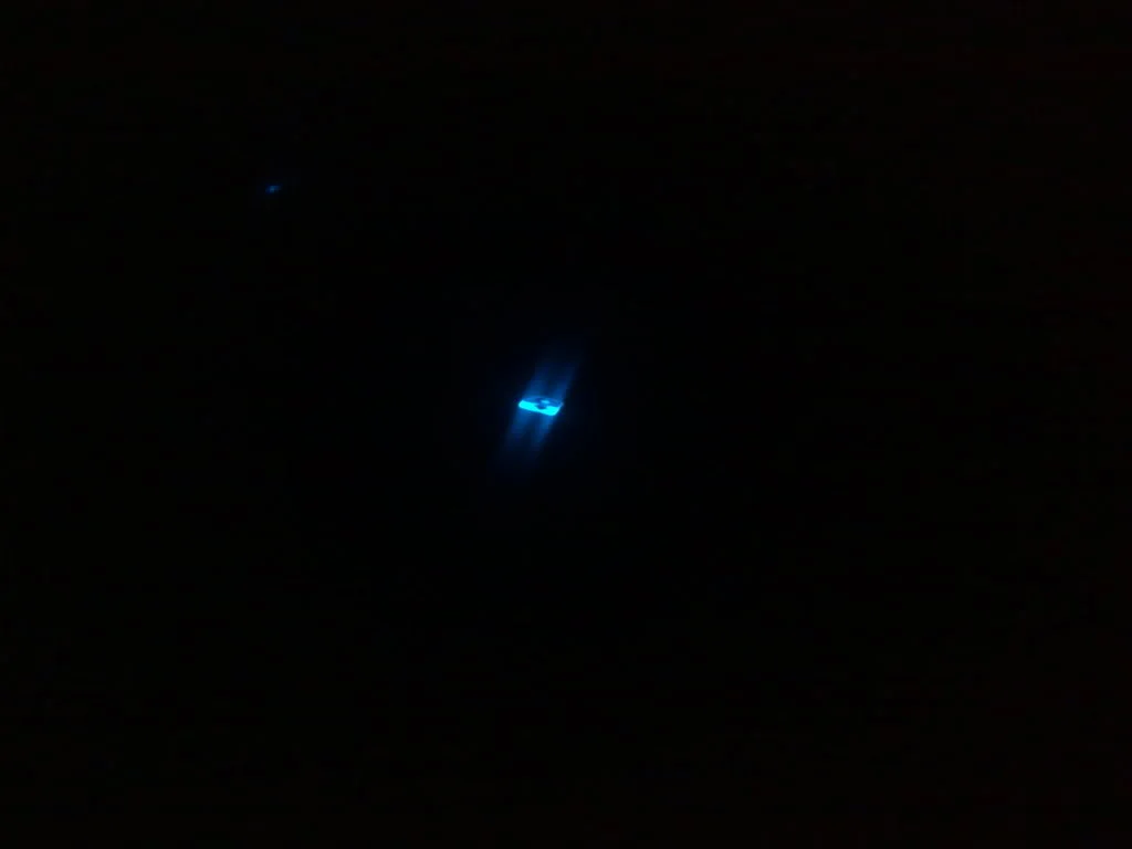 07022009415.webp
