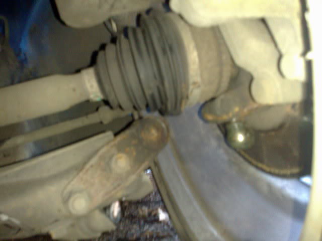 07112008315.jpg 07112008315.jpg