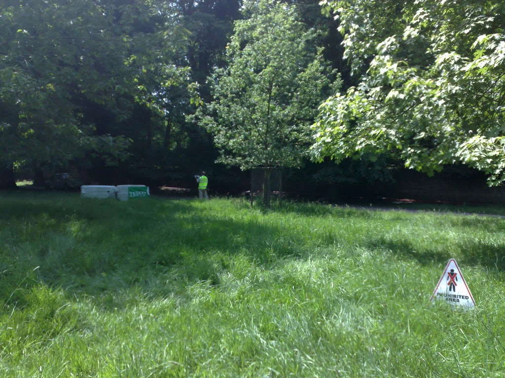 08062008117.webp