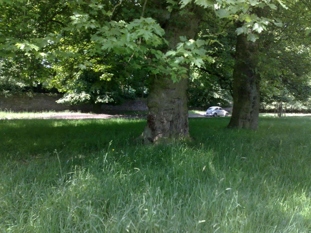 08062008120.webp