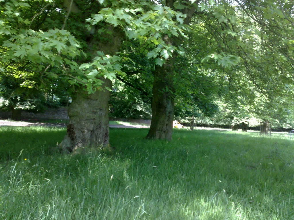 08062008123.webp