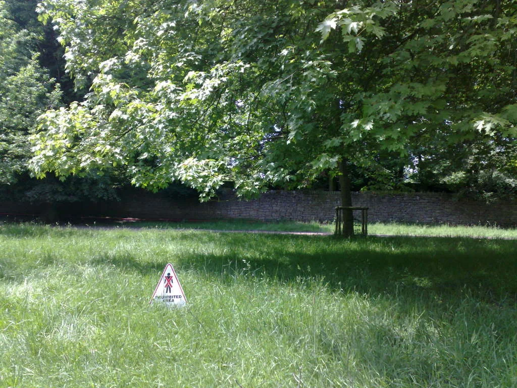 08062008124.webp