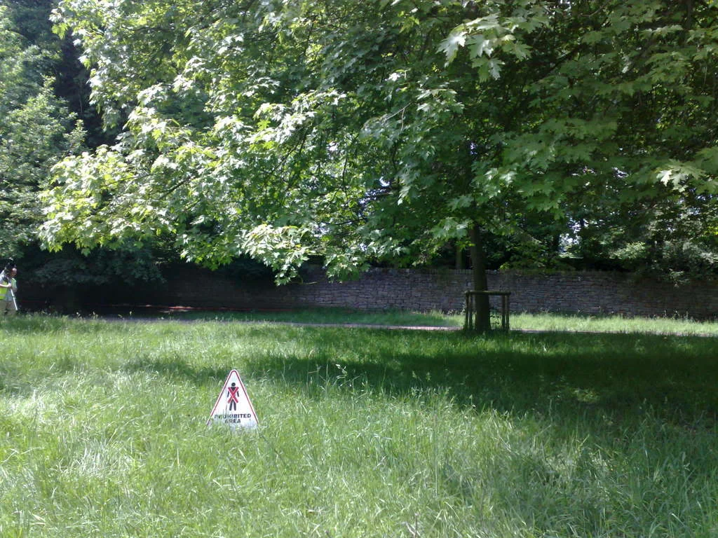 08062008126.webp