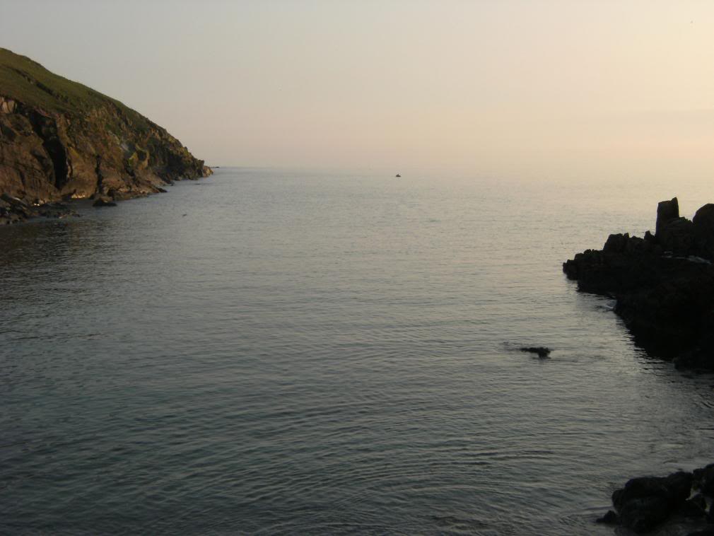 081-2.jpg 081-2.jpg