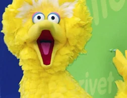 081104_SCD_BigBirdTN.webp