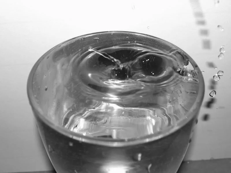 087monochrome.webp