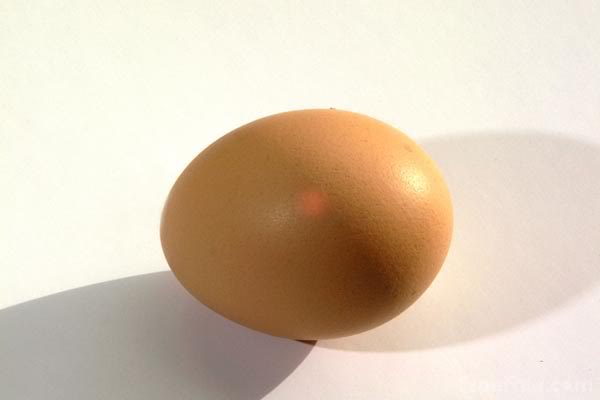 09_41_6---Egg_web.jpg