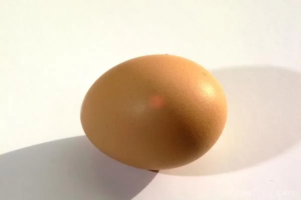 09_41_6---Egg_web.webp