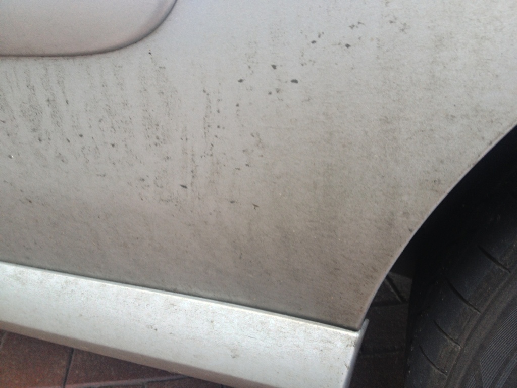 09B09077-BD98-4187-BCD5-B21A7ED90670-7483-000006EFDBF4AA99.jpg 09B09077-BD98-4187-BCD5-B21A7ED90670-7483-000006EFDBF4AA99.jpg