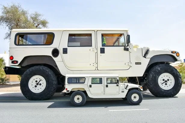 0_SWNS_LARGEST_HUMMER_14.webp