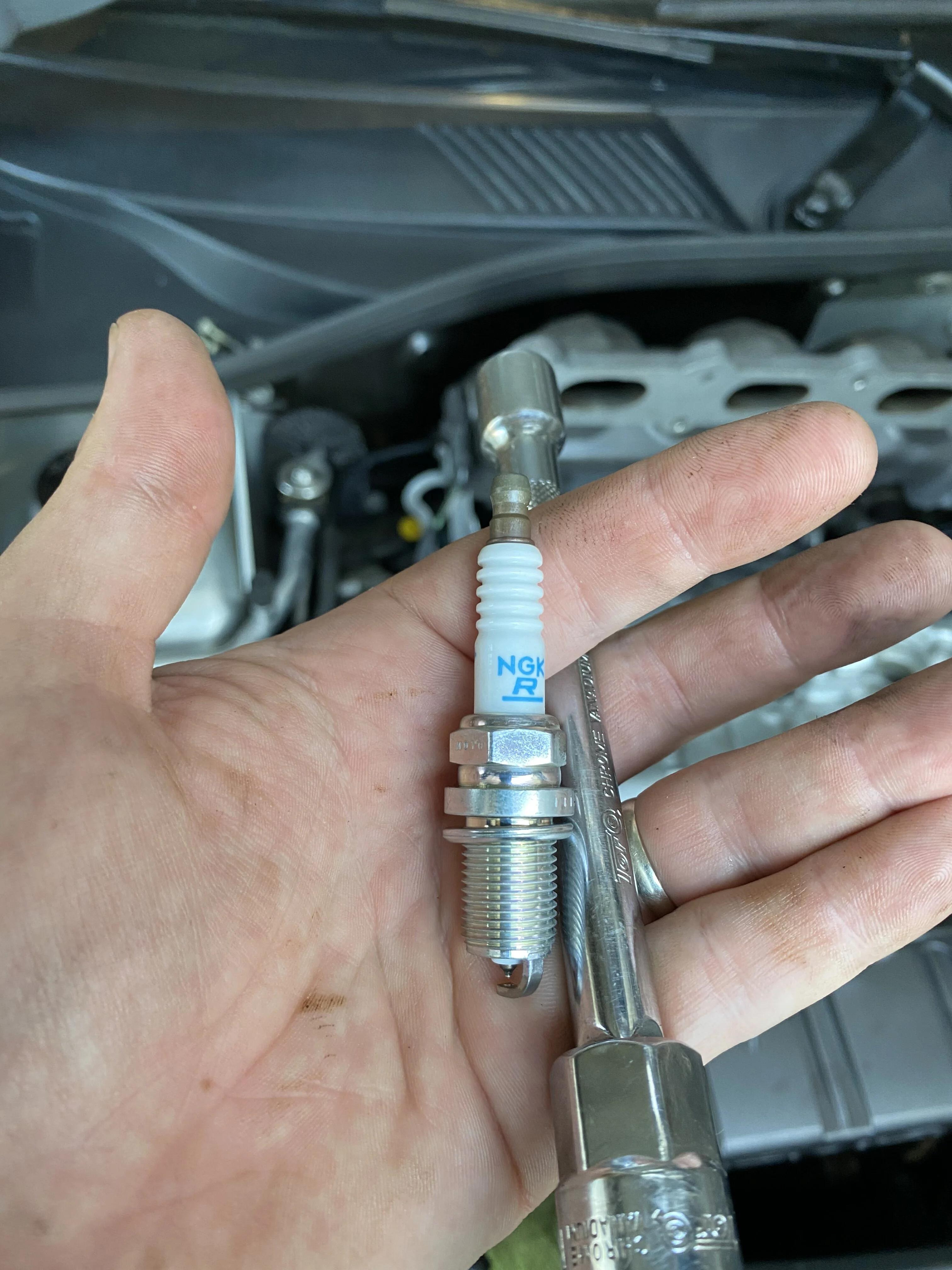 0AE8BDEE-4931-4D47-82EC-BD5A3EAE6F6E.webp