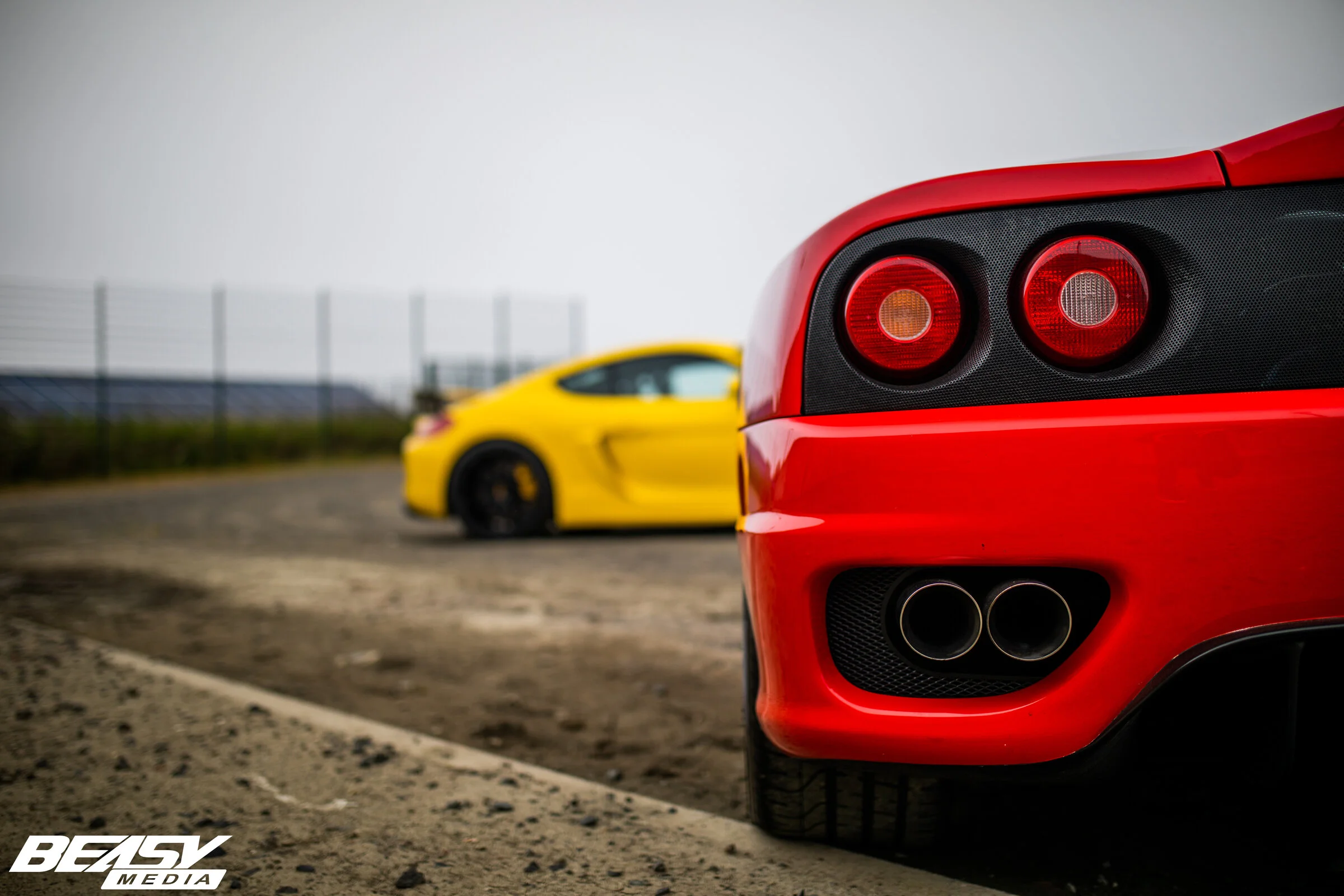 0D3A0062.webp