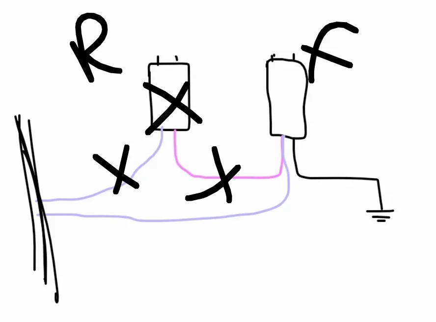 1000049439.webp