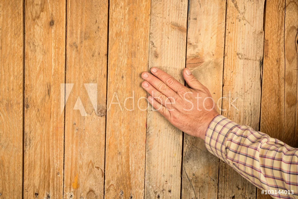1000_F_103144013_jYzfc9BJtbeNGP6XzdO3HyB2TgOEPWnz.webp