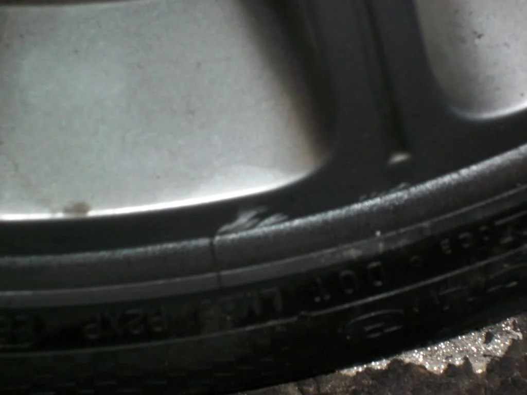 100_0041.webp